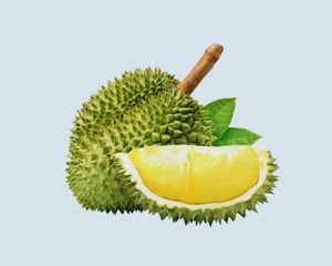 Durian Delights: productos premium liofilizados - Product Image 1