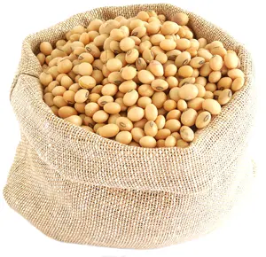 Wholesale Organic Non-Gmo Soyabean Yellow Soybean Soja Soya Beans
