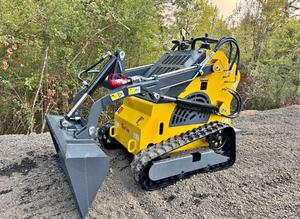 Livraison gratuite bon marché Mini Skid Steer moteur CE EURO5 EPA Skidsteer roue diesel sur chenilles Mini chargeuse sur chenilles pour tout terrain - Product Image 2
