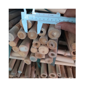 Postes de bambú crudo de naturaleza tratada Materias primas de bambú Palos de bambú de Vietnam - Product Image 5