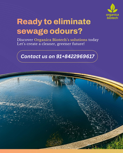 Biological Nitrogen <b>Removal</b> From Wastewater - Product Image 5