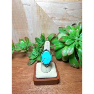Zachariah David Blue Bird Turquoise Stainless Steel <b>Adjustable</b> <b>Ring</b> Featuring Inlay Setting Bezel Technology Gift for Any - Product Image 1