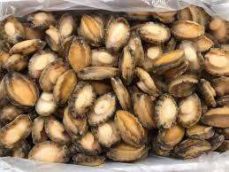 หอยลายแช่แข็งสดใหม่ธรรมชาติและดีต่อสุขภาพ บรรจุภัณฑ์สุญญากาศ 10 กก. หลายขนาด - Product Image 6