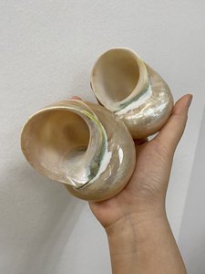 เปลือกหอยขัดเปลือกหอยเปลือกหอยเปลือกหอยธรรมชาติ/เปลือกหอยเป๋าฮื้อสำหรับตกแต่งงานฝีมือที่ทำด้วยมือริมทะเล - Product Image 4