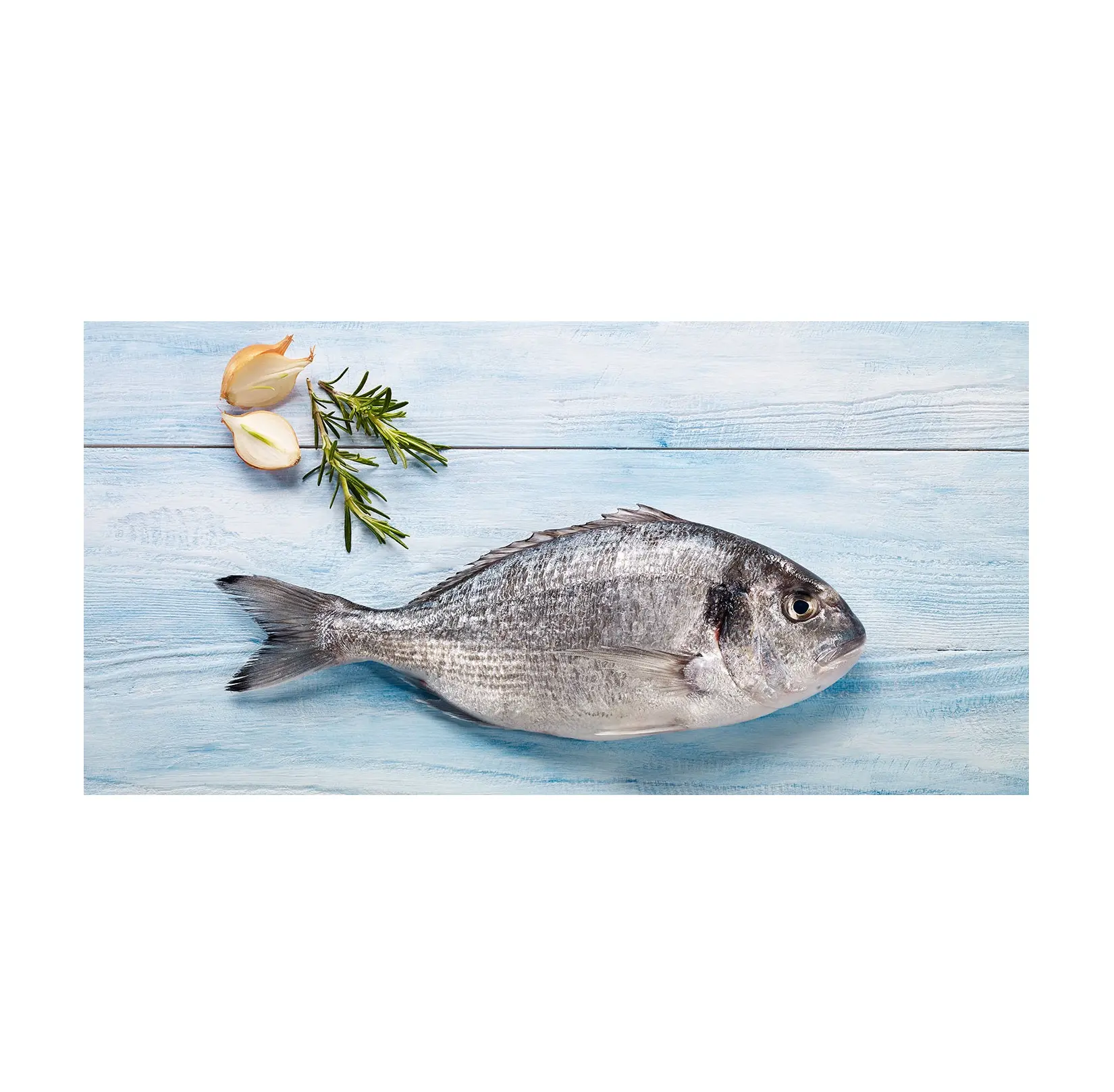 냉동 최고 품질 블랙/레드 도미 물고기 프랑스 도미 물고기 개별 냉동