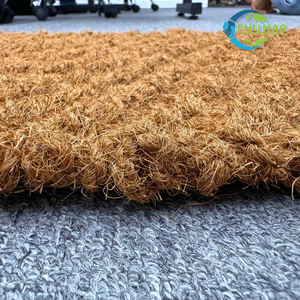 Top Products INDOOR MAT / DOOR MAT 100% Coconut Fiber Indoor Coir Mats: 2 Style Options, 40x60cm - Product Image 3
