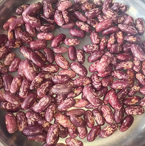 High-Quality Bulk Red Speckled and Fresh Pinto Beans - Product Image 3