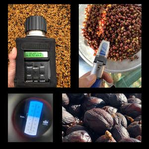 Viet Nam ARABICA Grano tostado de café de alta calidad 0,25Kg Aroma de frutas maduras Caramelo Entrega flash suave Directo de fábrica - Product Image 6