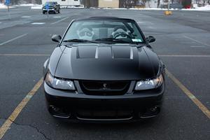 Ford Mustang SVT Cobra Convertible 2003 - Product Image 2