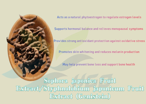 Approvisionnement direct d'usine HGO Extrait de fruit de Sophora japonica/Styphnolobium japonicum (qualité alimentaire) Génistéine 95% - Product Image 5