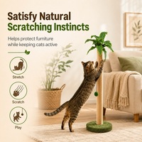 Griffoir pour chat en sisal écologique et durable, en forme de palmier naturel, avec jouet suspendu en corde et base stable en peluche pour chats d'intérieur, emballage carton