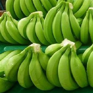 Top Grade Organic <b>Fresh</b> Cavendish <b>Banana</b> High Quality Best Price Wholesale 20kg - Product Image 5