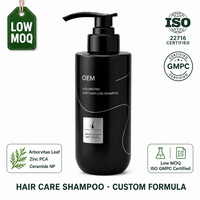 Fabricant de shampooings pour soins capillaires, marque privée, volumisant, anti-chute de cheveux, feuille d'arborvitae, hyaluronate de sodium, MSDS, GMPC, ISO22716