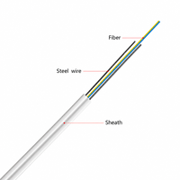 Kabel Drop FTTH Indoor 1 2 4 Core G657A1/G657A2 dengan Penyangga FRP/Baja LSZH