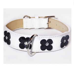 Collier et laisse pour chien chiot Amazona accessoires doux pour chien luxe meilleure vente fournitures pour animaux de compagnie livraison directe collier pour chien - Product Image 4