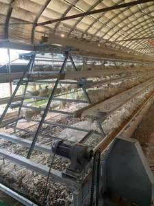 Jaulas de pollo con batería de capa automática para aves de corral agrícolas de África Caja de pollo con batería automática de 3 capas - Product Image 5