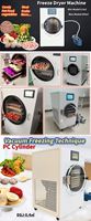 Lyophilisateur à air froid pour fruits et légumes à petite échelle pour aliments et légumes Déshydrateur pour déshydratation