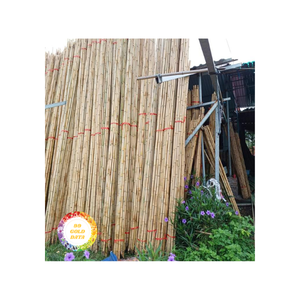 ท่อเสาไม้ไผ่ชั้นนำของเวียดนาม-แท่งไม้ไผ่ที่มีอายุการใช้งานยาวนานสำหรับรองรับสวน-โซลูชันการออกแบบที่เป็นธรรมชาติ - Product Image 3
