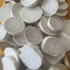 Matériel de racine de taro surgelé de provenance vietnamienne en portions en bande pour la transformation culinaire offrant une uniformité fiable - Product Image 1