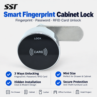 Serrure de tiroir d'armoire de chambre à coucher sans clé, à détection par carte RFID IC 13,56 MHz, en alliage de zinc, durable, petite taille