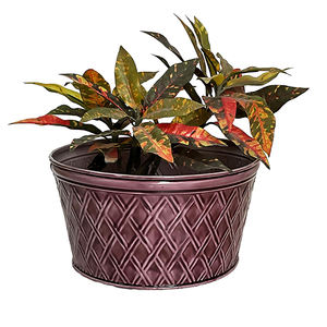 กระถางต้นไม้ชุบสังกะสีแบบยั่งยืนพร้อมกระถางดอกไม้ลายนูนประดับเพชรเคลือบสำหรับตกแต่งในร่มกลางแจ้งหม้อโลหะที่ทนทาน - Product Image 2