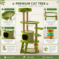 Arbre à chat multi-niveaux avec condo fermé, poteaux à gratter en sisal, échelle, jouet rotatif, grand structure d'escalade pour chats d'intérieur