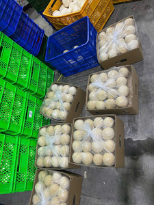 Tinimex Coco Tierno Natural para Posicionamiento de Marca, Bebida Saludable Premium - Product Image 6