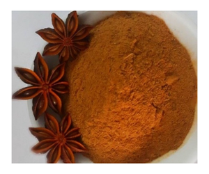 Poudre d'extrait d'anis étoilé entier naturel fournie en usine pour usage alimentaire style séché ou frais fabriqué à partir de graines - Product Image 1