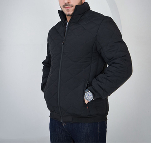 Veste bouffante pour hommes de haute qualité Logo personnalisable hiver Streetwear col roulé coupe-vent respirant fermeture à glissière Polyester - Product Image 2