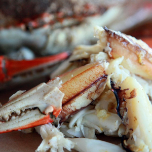IQF FROZEN CRAB LEG <b>MEAT</b> | SUSTAINABLE SOURCE | BULK EXPORT - Product Image 3