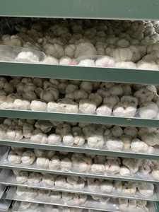 Mangoustan lyophilisé en gros, collation de fruits croustillants et sucrés pour la vente au détail, sacs de marque privée 50g 100g, mangoustan sec du Vietnam - Product Image 3