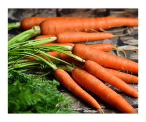 100% Premium Quality <b>Fresh</b> Organic <b>Carrots</b> 80-300g <b>Fresh</b> Vegetables for Sale in Cheap Price - Product Image 6