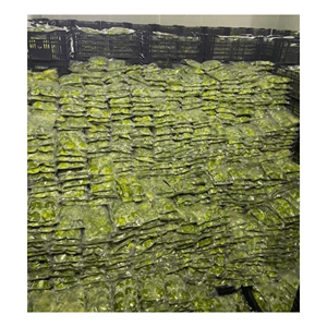 Tranche/pâte d'avocat congelé vietnamien de qualité supérieure à prix compétitif, savoureux fabriqué au Vietnam - Product Image 3