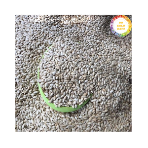 Semillas de Calabaza Secas Cultivadas en Vietnam, Perfectas para Tostar, Adiciones a Productos de Panadería y Múltiples Aplicaciones y Usos en la Industria Alimentaria - Product Image 2