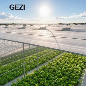 Cabbage Farm Agricultural Greenhouse Biodegradable Hdpe Anti Insect Barrier Proof protection <strong>Net</strong> Pe 40 70 80 90 Mesh <strong>Rolls</strong> - Product Image 5