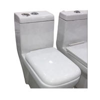 Articles sanitaires en céramique modernes de qualité assurée, monobloc allongé avec réservoir encastré pour toilettes domestiques et hôtelières - Prix bas
