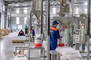 Masterbatch de carbonate de calcium (CaCO3) blanc pour granulés/granulés de PE/LLDPE, qualité moulage par injection, pour articles ménagers, câbles, sacs en plastique - CPI Vietnam - Product Image 6