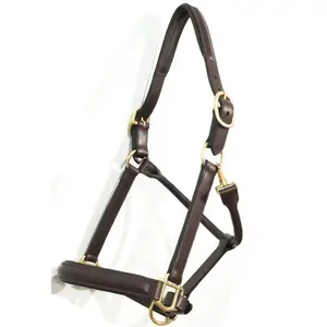 Licol en cuir véritable de style western fait à la main avec des accessoires en laiton massif, taille et logo personnalisables, confortable et durable - Product Image 2