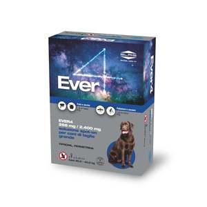 Ever4 Slash Spot-on Dog - Hecho en Italia, Tallas XS-L - Product Image 3