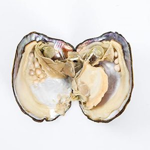 IQF Half Shell Pacific Oyster Ostras congeladas a granel - Product Image 3
