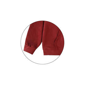 Sweats à capuche sur mesure pour hommes quantité minimale de commande bas Offre Spéciale hiver Style de rue grande taille sweats impression solide Opt OEM/ODM Services - Product Image 6