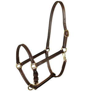 Economical Leather Halter Is Perfect for Safe Turnout. Leather Halters Are the Safe Choice for Turnout and Stable Brass <b>Hardware</b> - Product Image 5