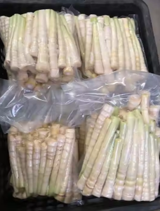Pousses de bambou de qualité supérieure du Vietnam, naturelles, prêtes à cuire, goût traditionnel - Product Image 6