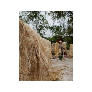 Meilleure vente de matériaux écologiques, Fiber de bananier, Fiber de bananier Pure, vente en gros, haute qualité 99GD - Product Image 5