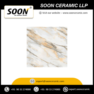 Próximamente: Baldosas de Porcelana Cerámica Mate 600x600mm, Diseño Rústico con Textura de Flores y Plantas, Antideslizantes, Antibacterianas, para Uso Exterior - Product Image 5