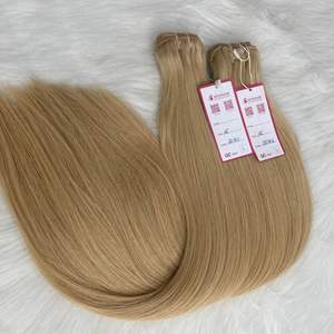 Precio al por mayor Cool Color # 22C Extensiones de cabello humano vietnamita Máquina recta Trama Materia prima - Product Image 1