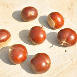 High Quality Snack Wholesale Price <b>Chestnut</b> Edible Fresh Raw Whole <b>Chestnuts</b> for Sale - Product Image 1
