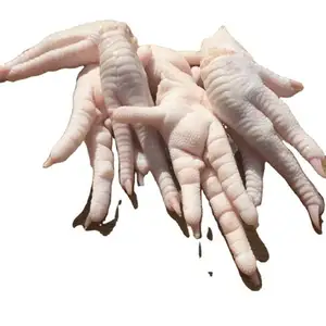 Stock standard de pieds de poulet congelés de qualité autrichienne Fabricants de pieds de poulet congelés de qualité supérieure