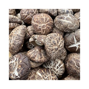 Bán Buôn Hữu Cơ Khô Shiitake Nấm Tốt Nhất Khô Shiitake Nấm Cho Món Ăn Rừng <span class=keywords><strong>Mushoom</strong></span> - Product Image 1