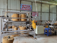 Vietnamesische Große Umweltfreundliche Kokosfaser-Seilwebmatten für Haus, Garten, Café-Dekoration, Landwirtschaftliche Gewächshäuser